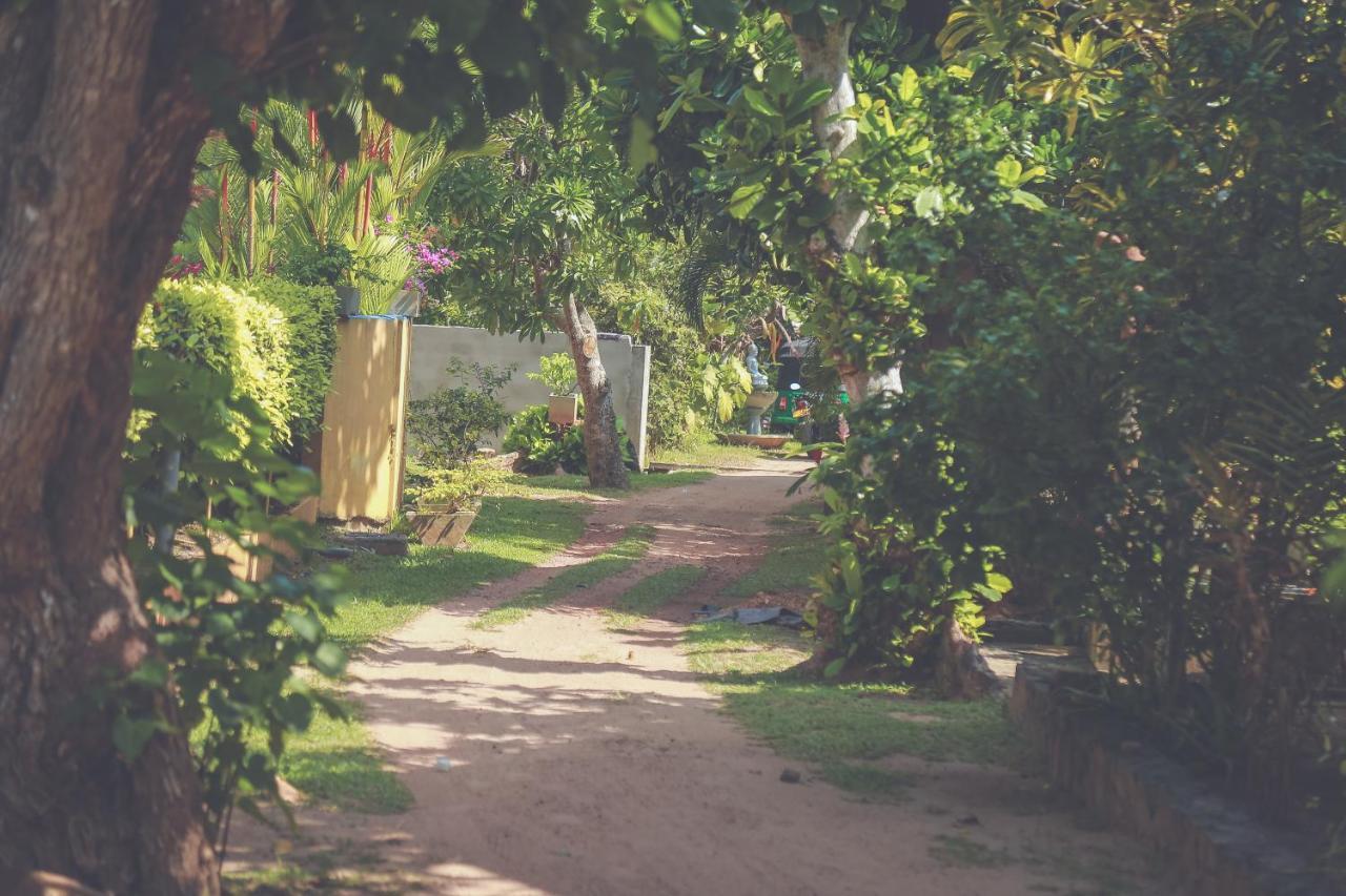 Hikka Surf Hostel Hikkaduwa Εξωτερικό φωτογραφία