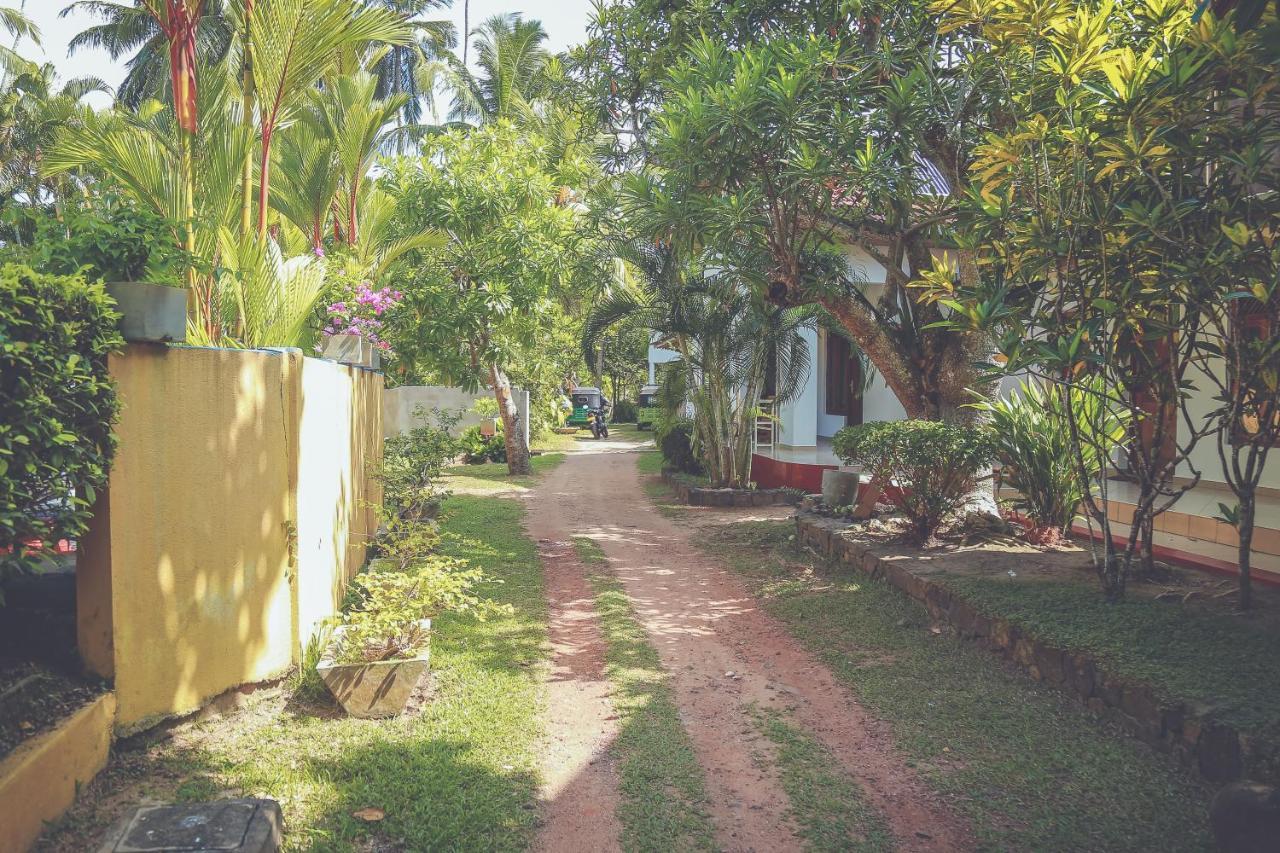 Hikka Surf Hostel Hikkaduwa Εξωτερικό φωτογραφία